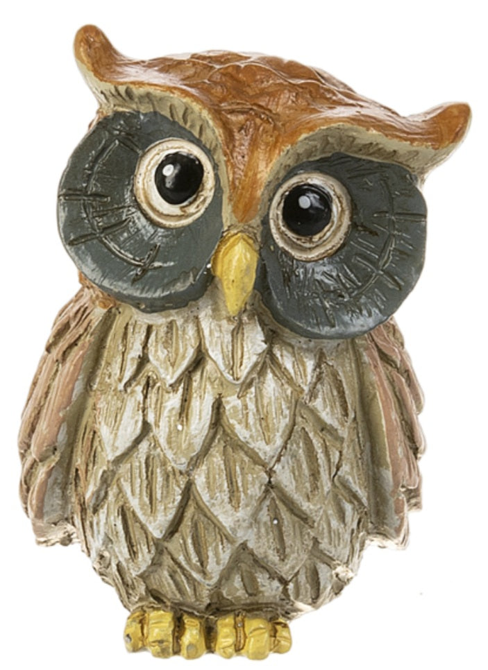Wise owl stones