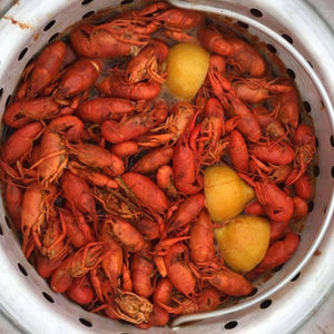 Grill Your Ass Off - Spices, Rubs, Seasonings, Sauces, Jerky - Napalm Crawfish & Seafood Boil™ - Fish, Lobster, Spicy, Hot