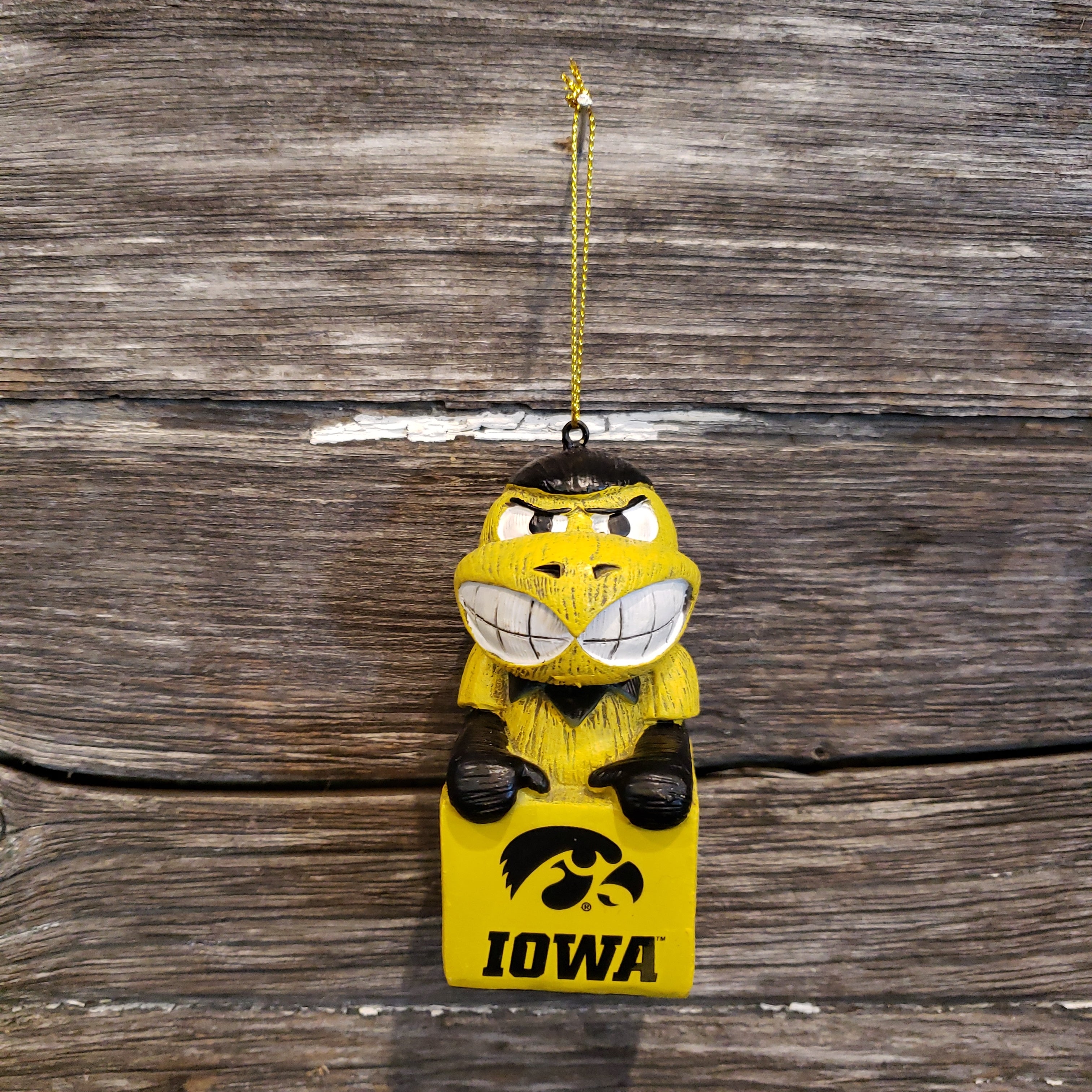 Iowa hawekeye mascot ornament