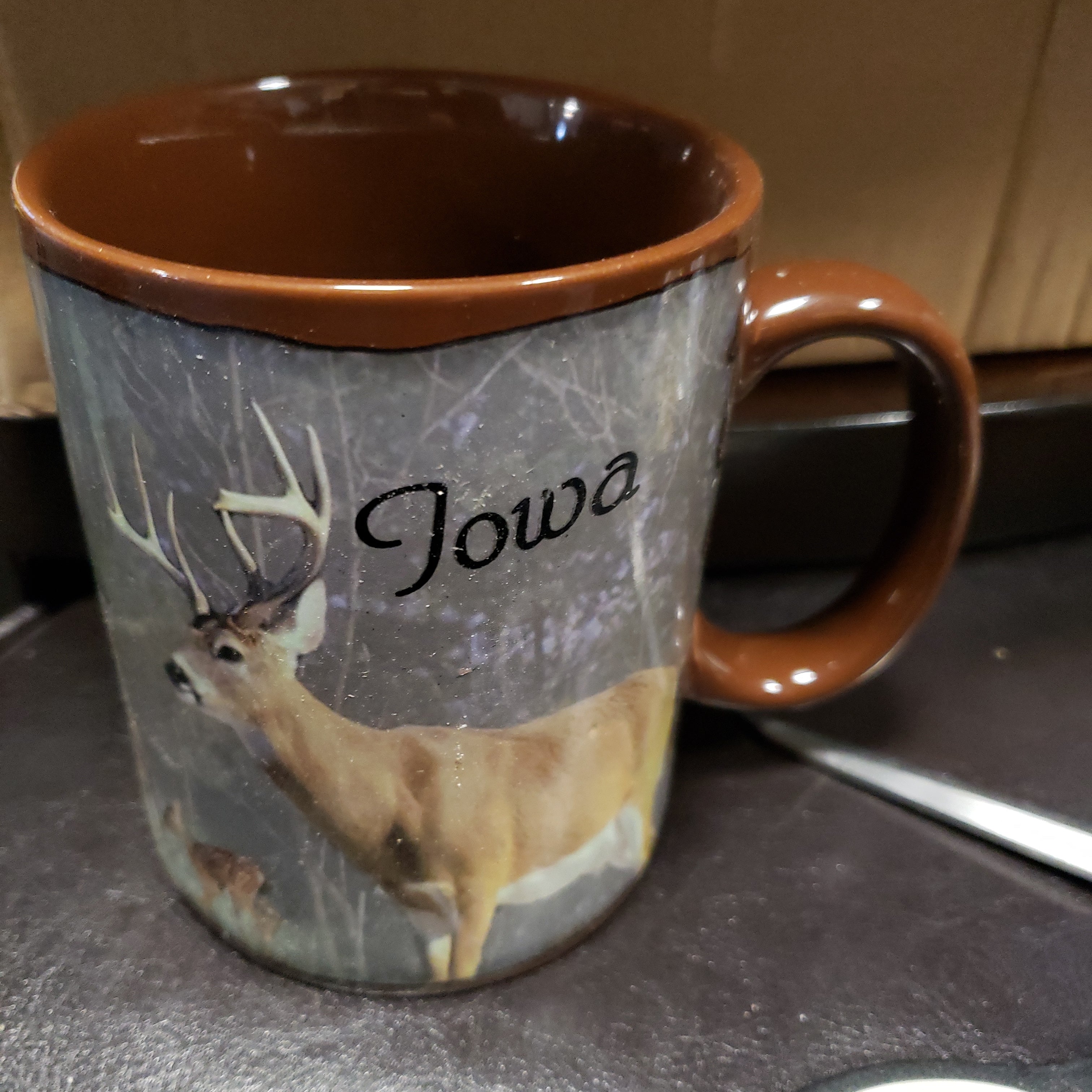 Iowa deer mug