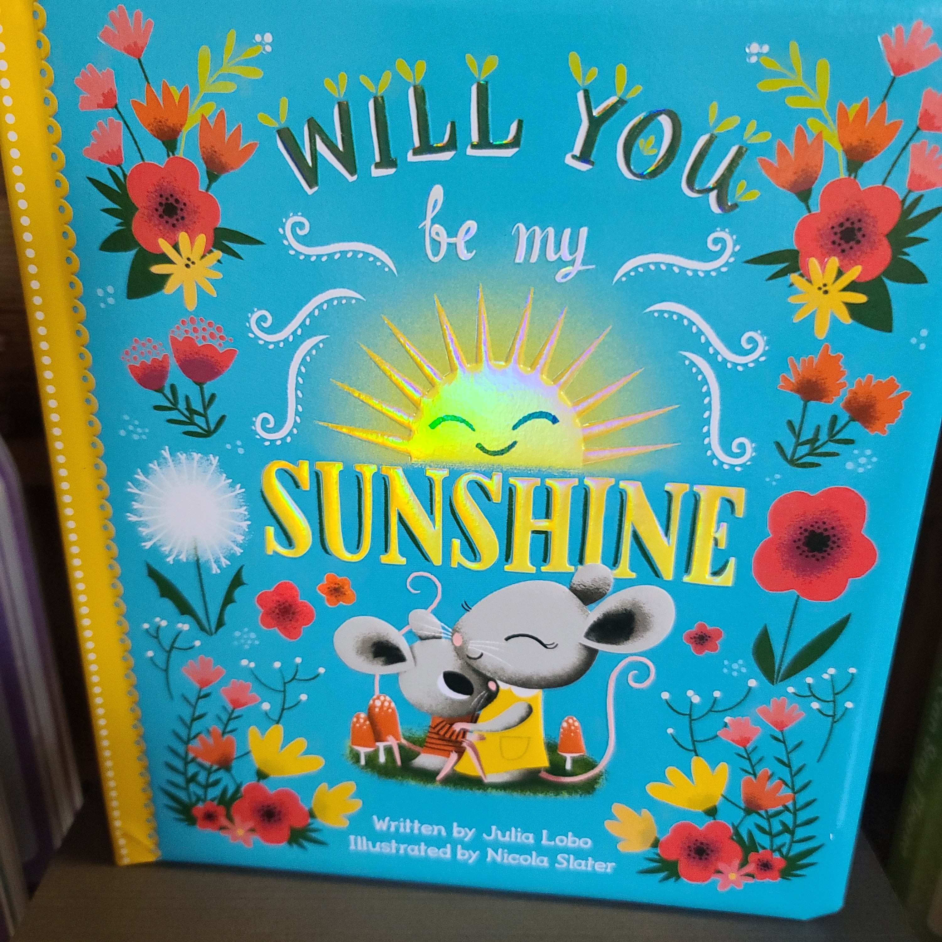 Will you be my sunshine book