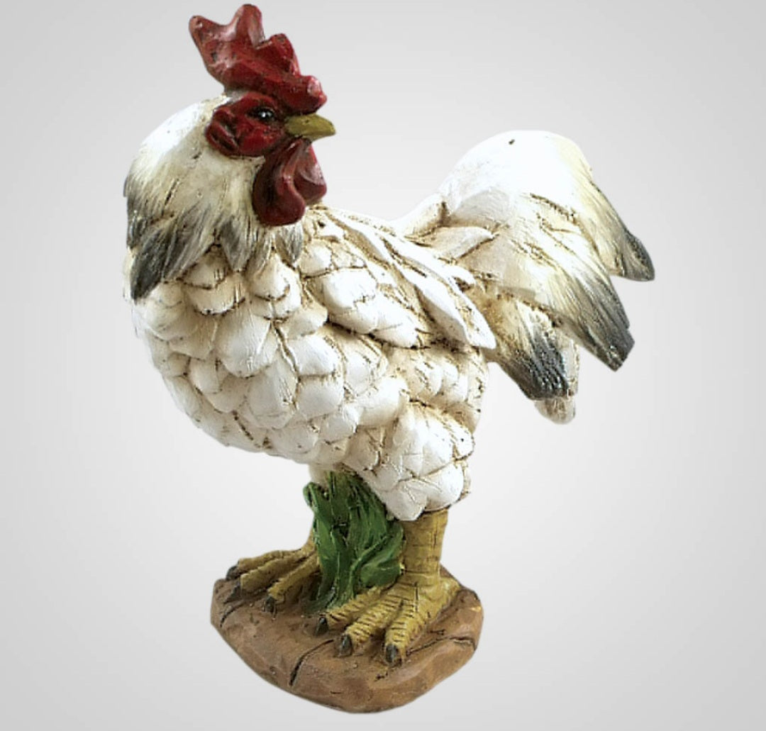 White red rooster