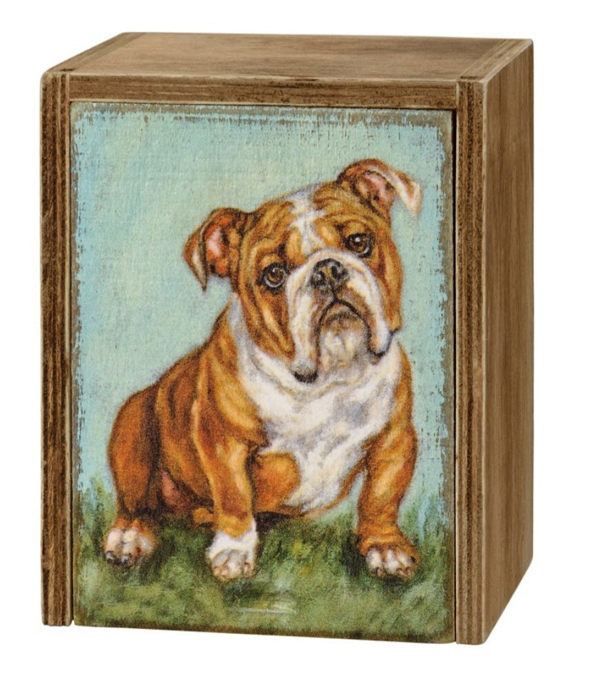 Memory box bulldog