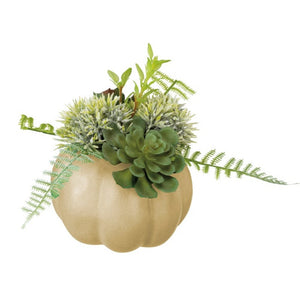 Pumpkin planter with fuax succulent