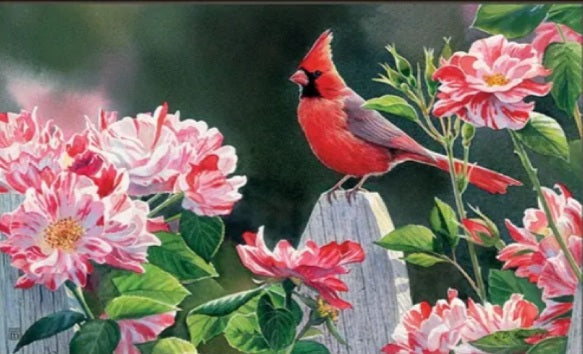 Cardinal with variegated roses matmate