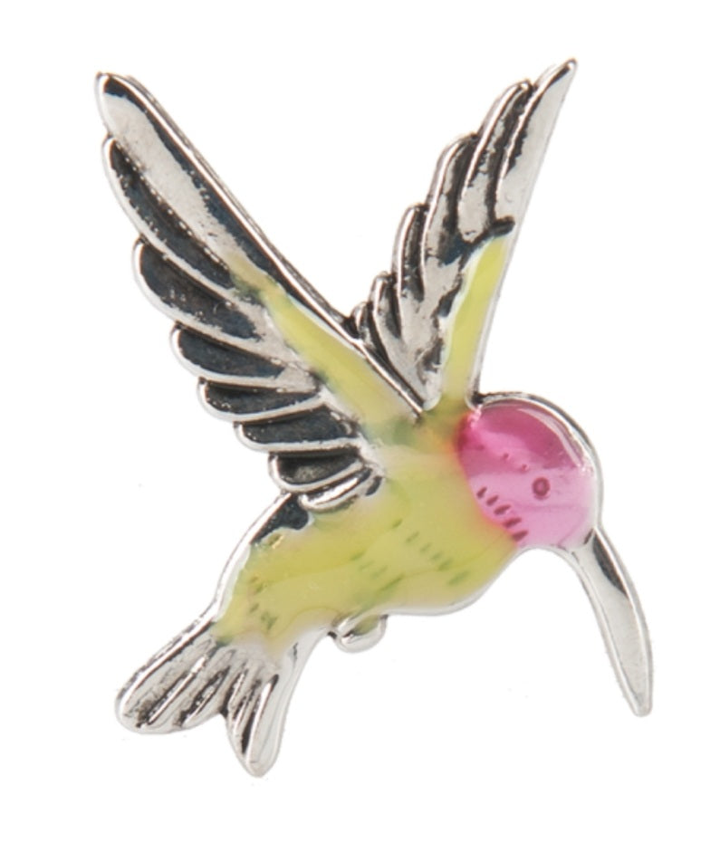 The hummingbird charm