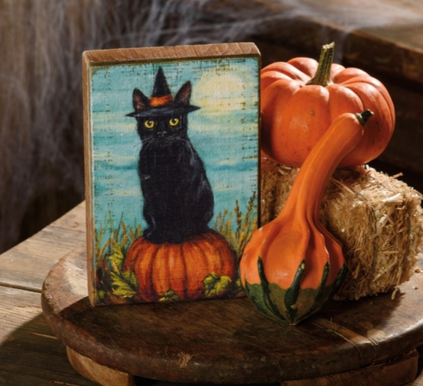 Cat witch block sign