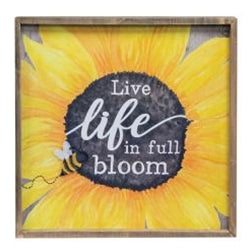 Iive life in full bloom