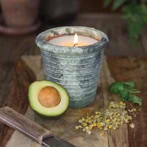 Herban garden candle pot chamomile and avovado