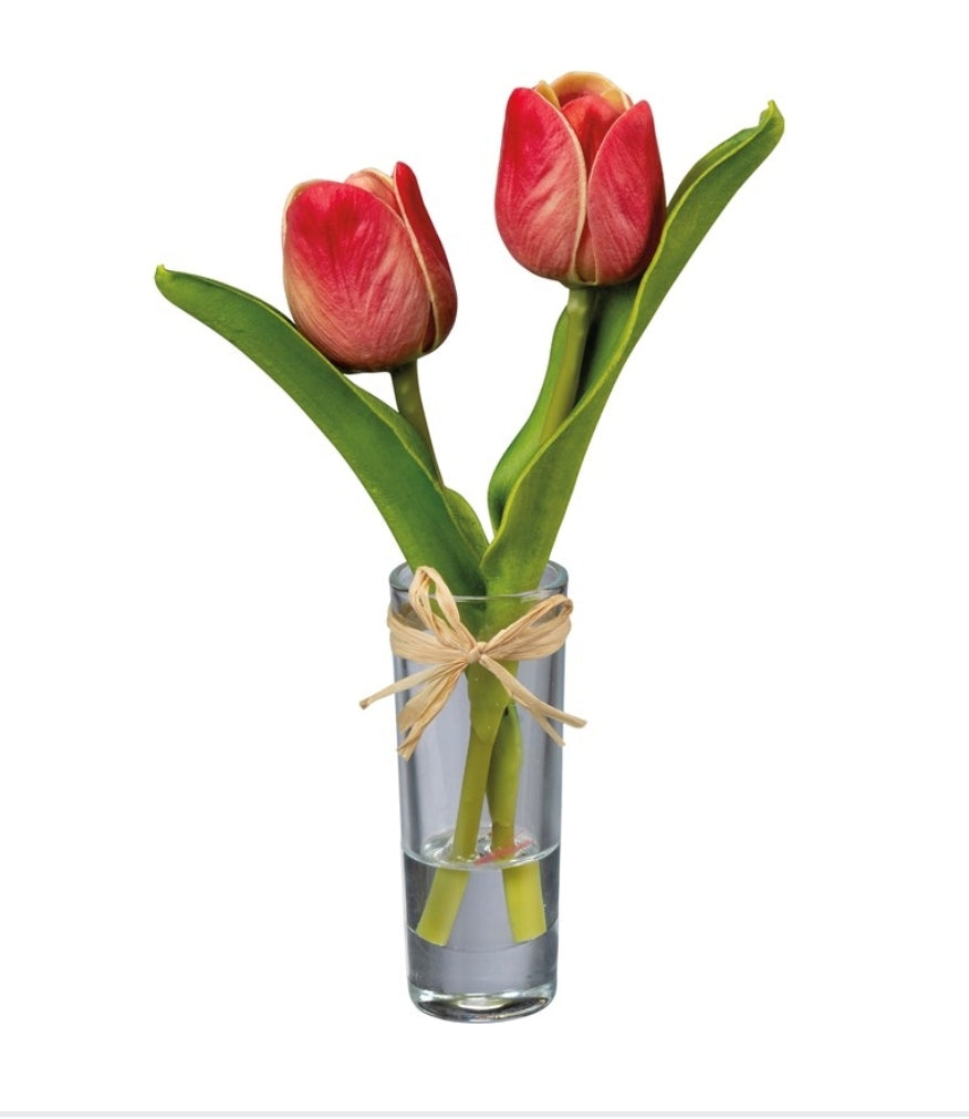 Vase- Reddish/pink tulip