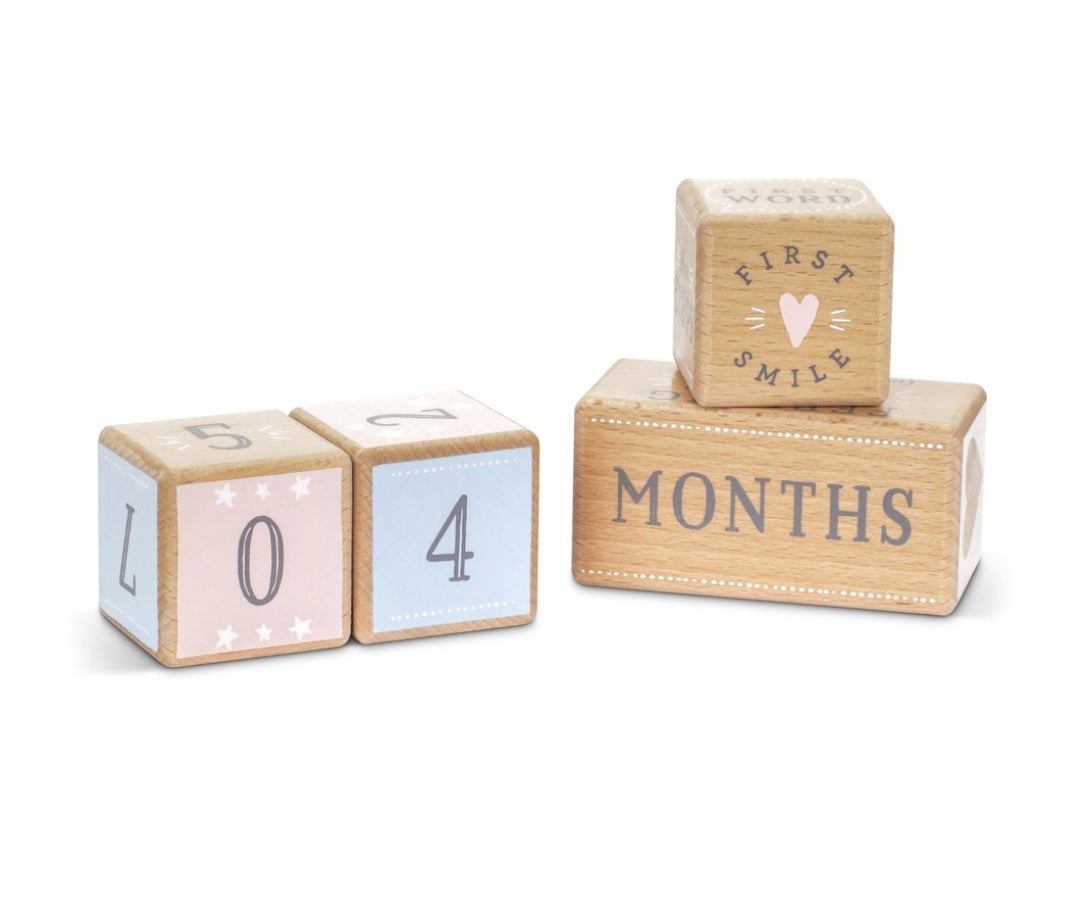 Baby milestone blocks