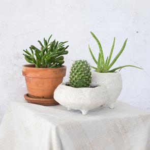 Sill ceramic tiered  vessel  cashmere drift and desert rose